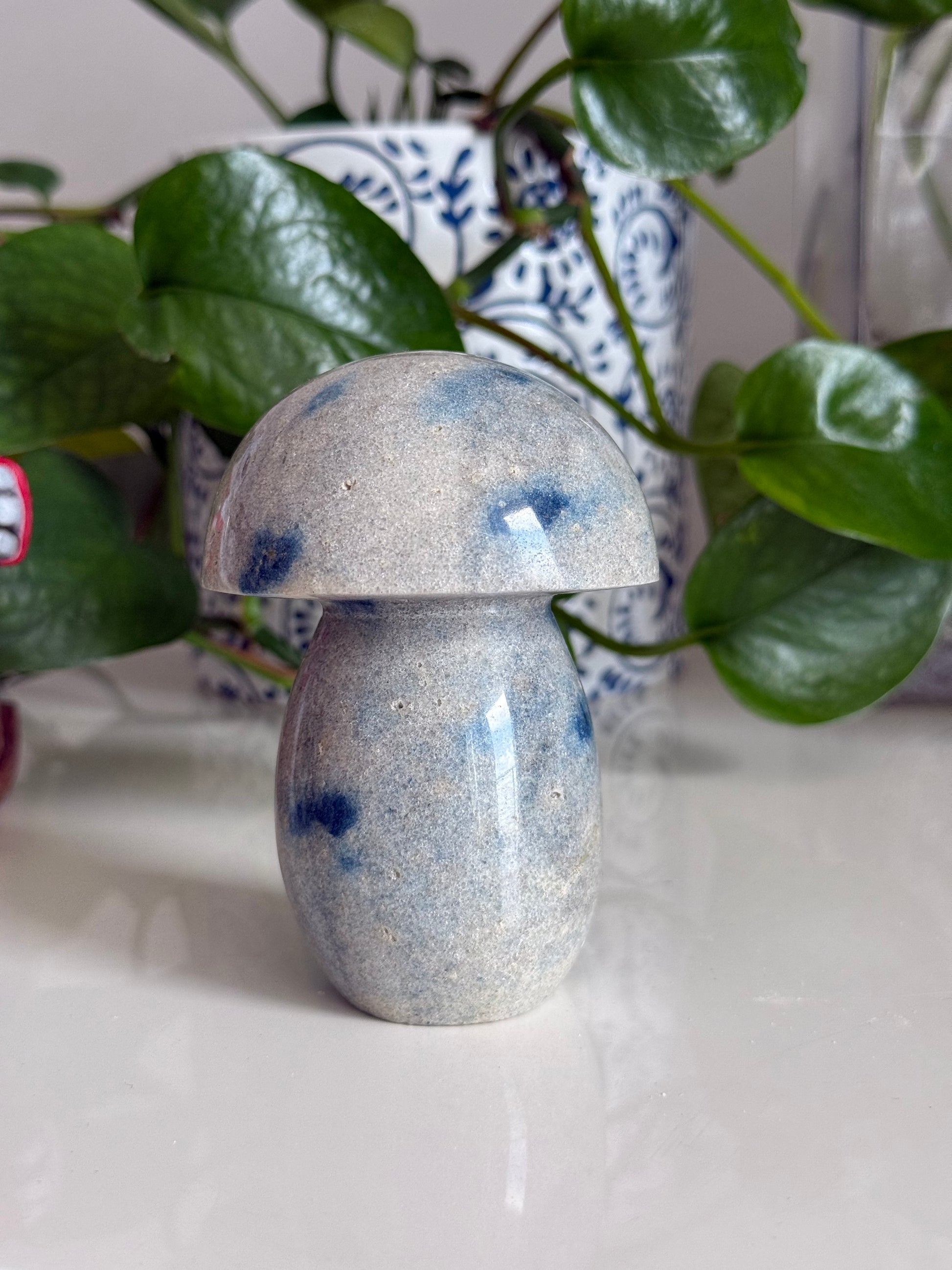 K2 Jasper Mushroom – 3.5 Inch – Grounding & Spiritual Awakening Stone