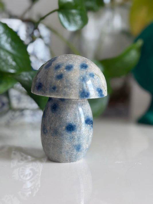 K2 Jasper Mushroom – 3.5 Inch – Grounding & Spiritual Awakening Stone