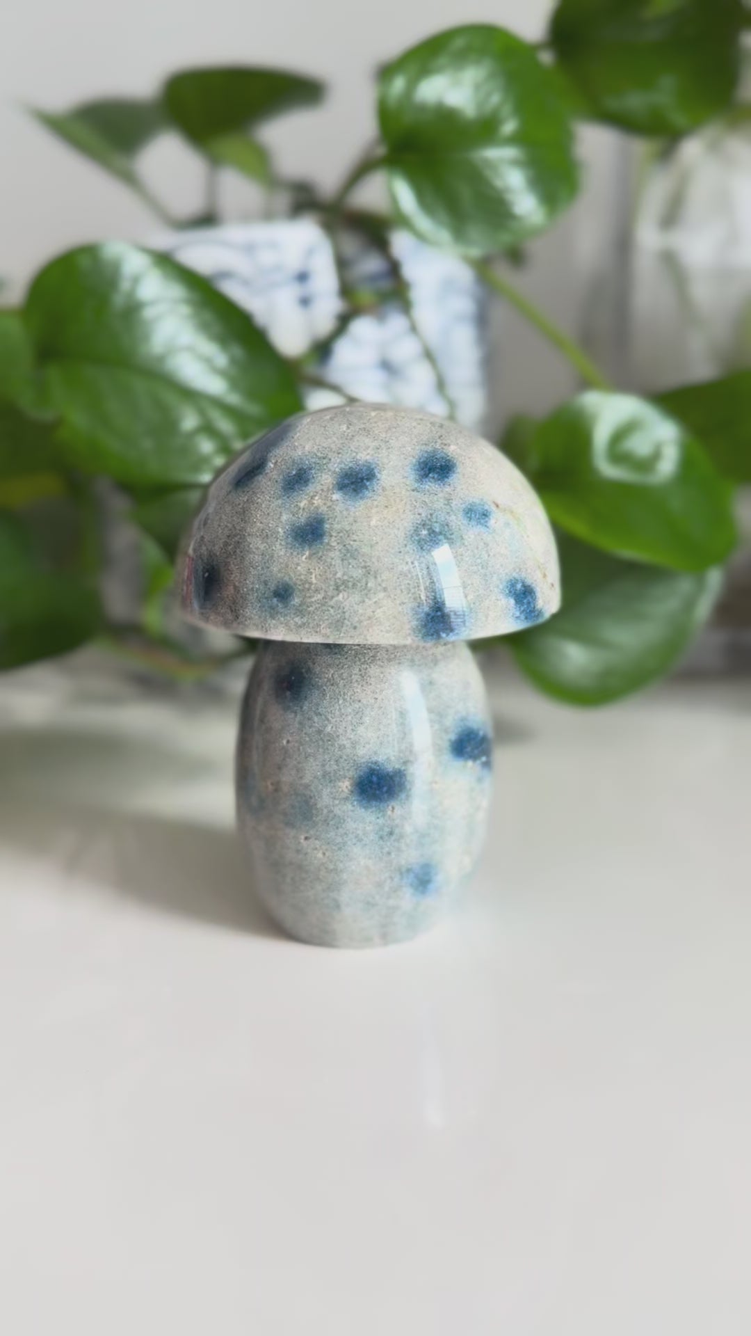 K2 Jasper Mushroom – 3.5 Inch – Grounding & Spiritual Awakening Stone