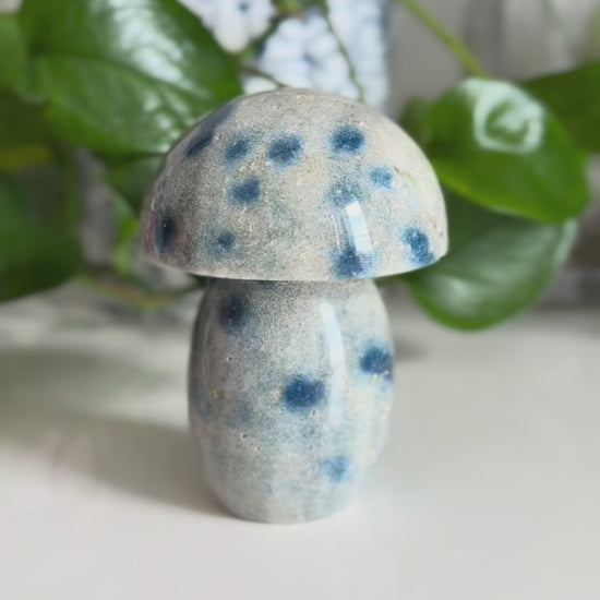 K2 Jasper Mushroom – 3.5 Inch – Grounding & Spiritual Awakening Stone