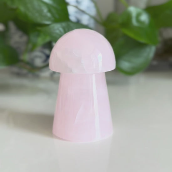 Rose Quartz Mushroom Crystal - Love & Heart Chakra Healing